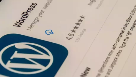 WORDPRESS GPL 